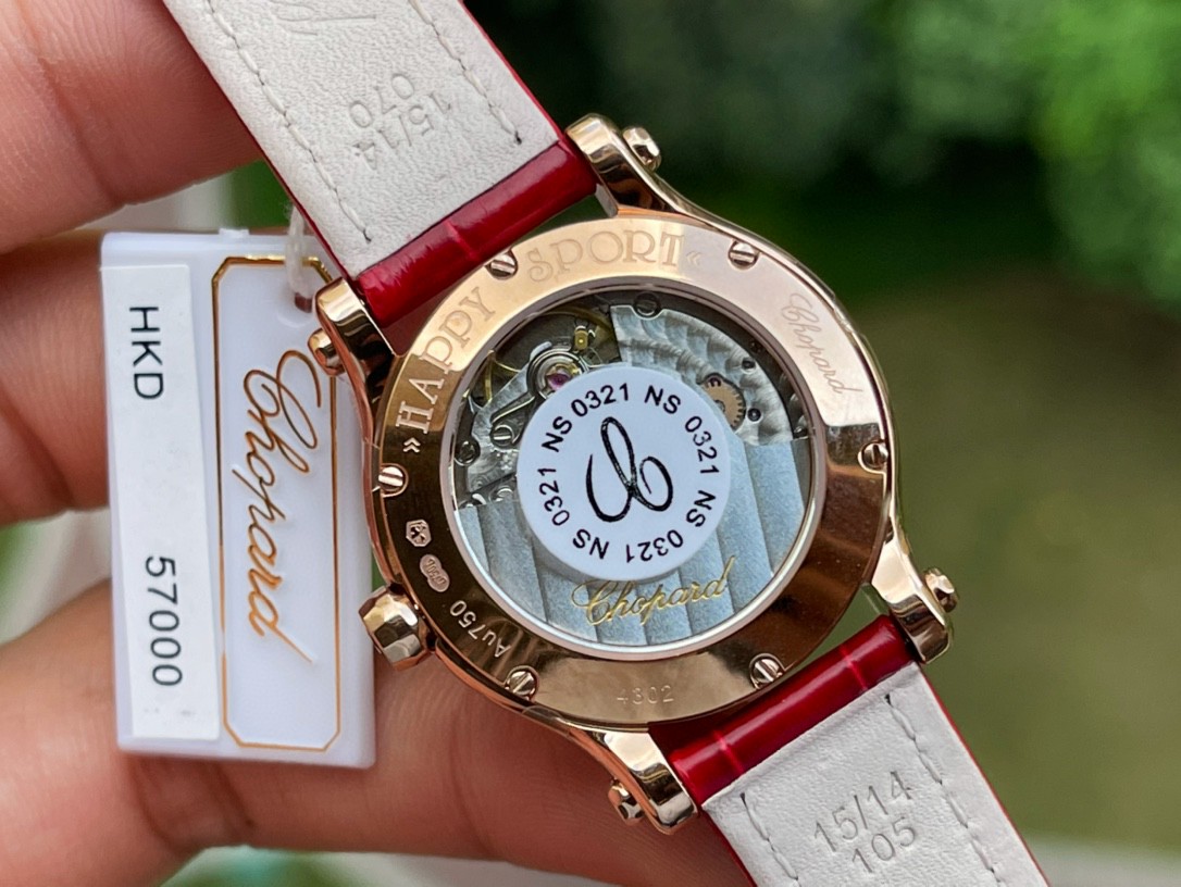 1740625273444-1.jpg